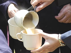 Nutrición del Hogar Clarita Santos