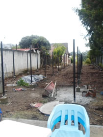 agricultura orgánica